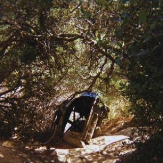 Audio Possession Ty Segall