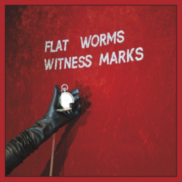 Audio Witness Marks Flat Worms