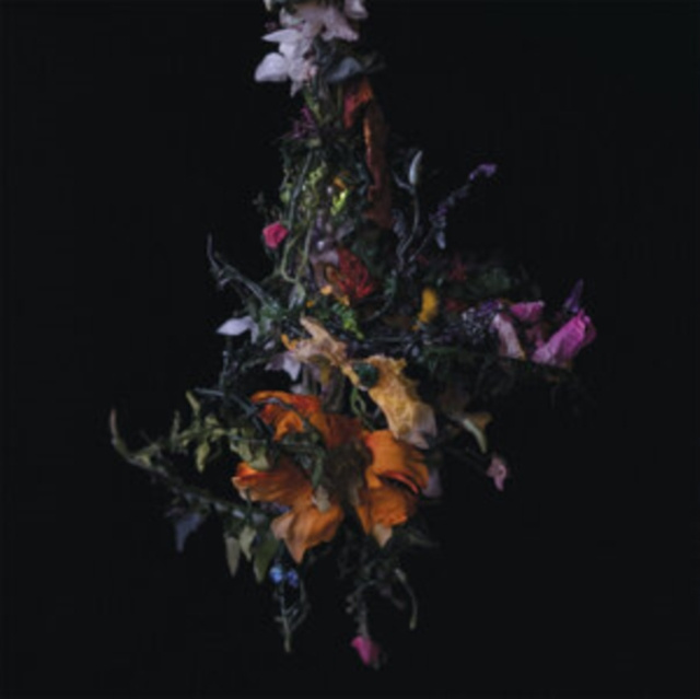 Audio Nature Morte Big|Brave