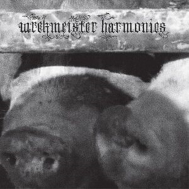 Audio Flowers in the Spring Wrekmeister Harmonies
