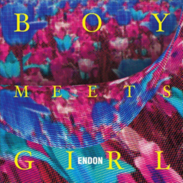 Audio Boy Meets Girl ENDON