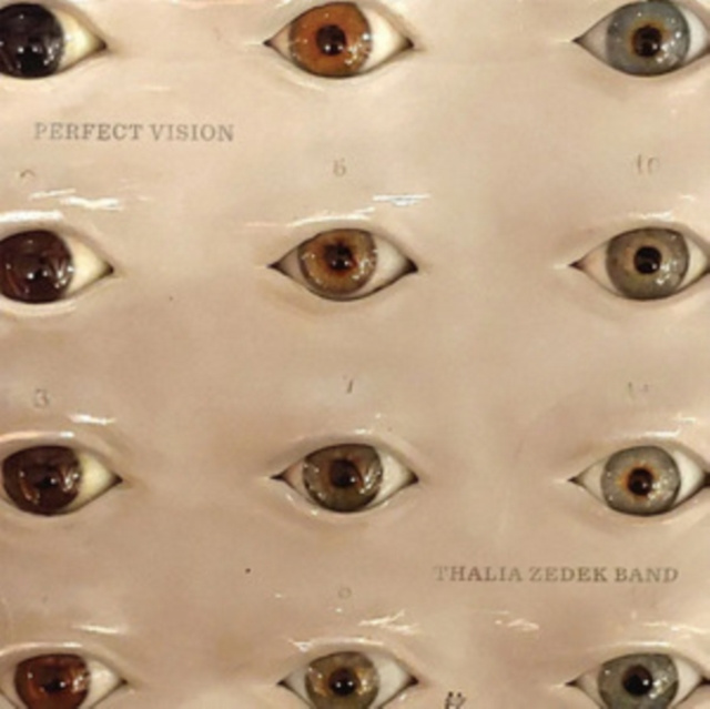 Audio Perfect Vision Thalia Zedek Band