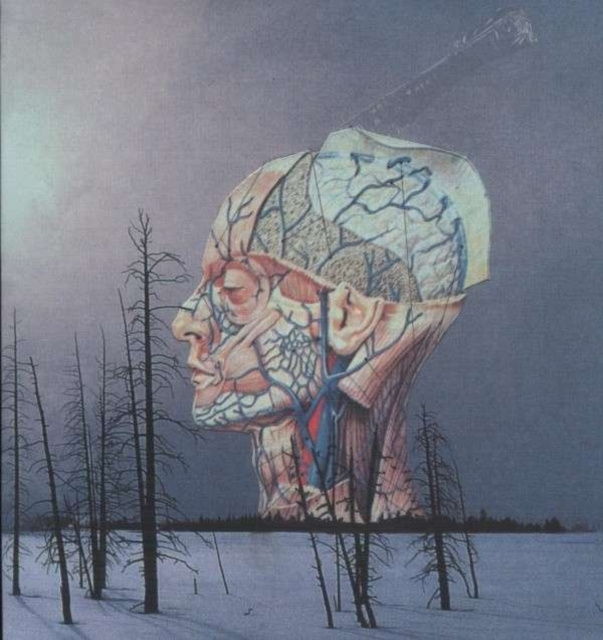 Audio Songs for a Dead Pilot Low