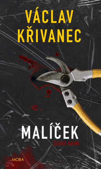 Buch Malíček Václav Křivanec