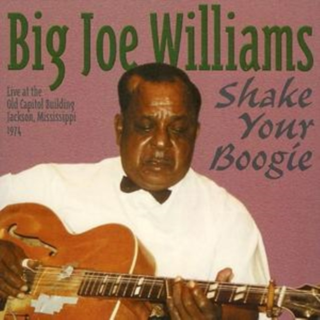 Audio Shake Your Boogie Big Joe Williams