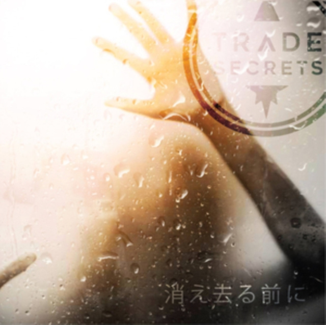 Audio Before We Vanish Trade Secrets