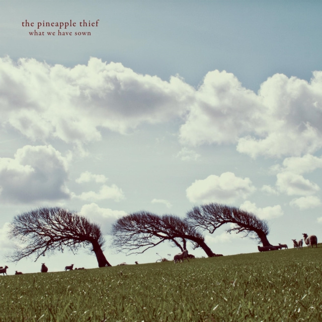 Audio What We Have Sown The Pineapple Thief