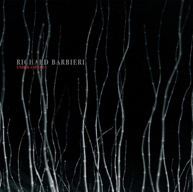 Audio Under a Spell Richard Barbieri