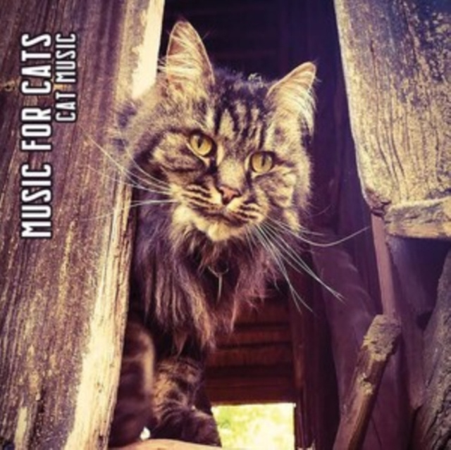 Audio Cat Music Music for Cats