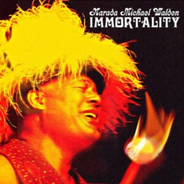 Audio Immortality Narada Michael Walden