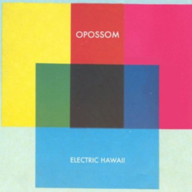 Audio Electric Hawaii Opossom
