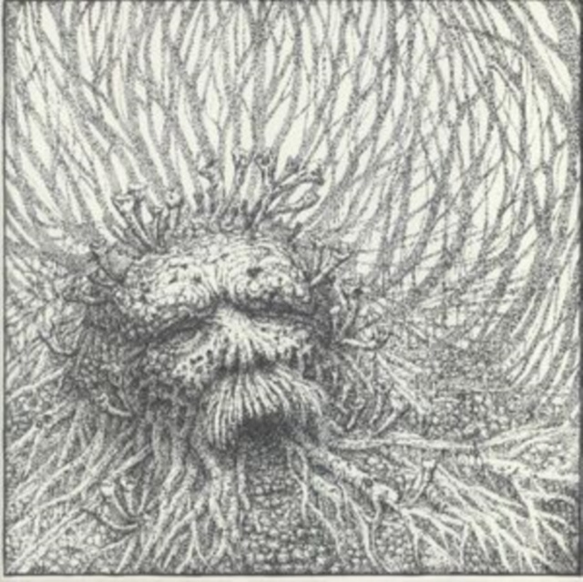 Audio Nemorous Nemorous