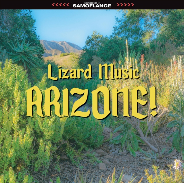 Audio Arizone! Lizard Music
