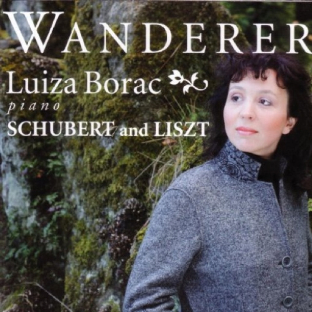Audio Wanderer (Luiza Borac) 