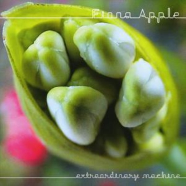 Audio Extraordinary Machine Fiona Apple