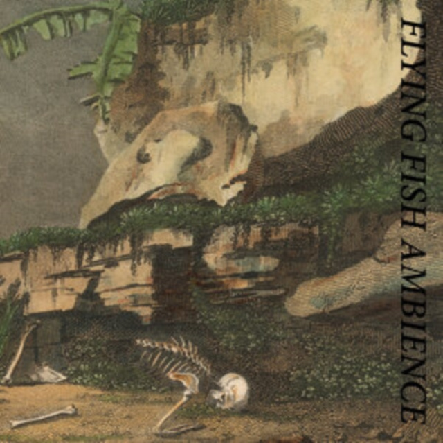 Audio Flying Fish Ambience Rainforest Spiritual Enslavement