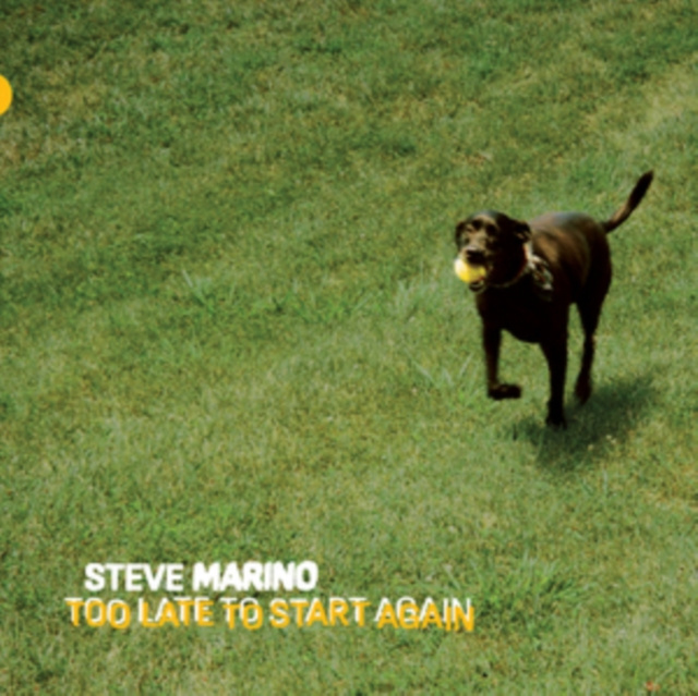 Audio Too Late to Start Again Steve Marino