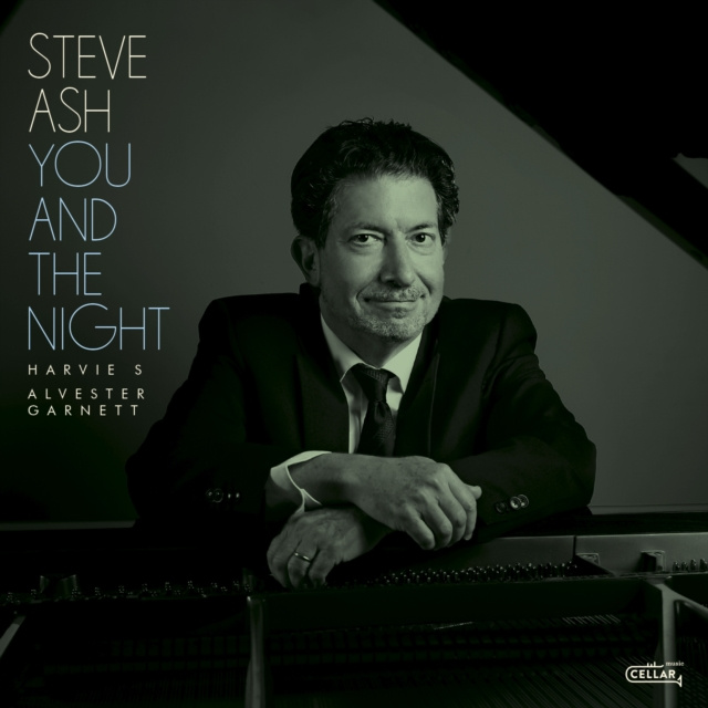 Audio You and the Night Steve Ash