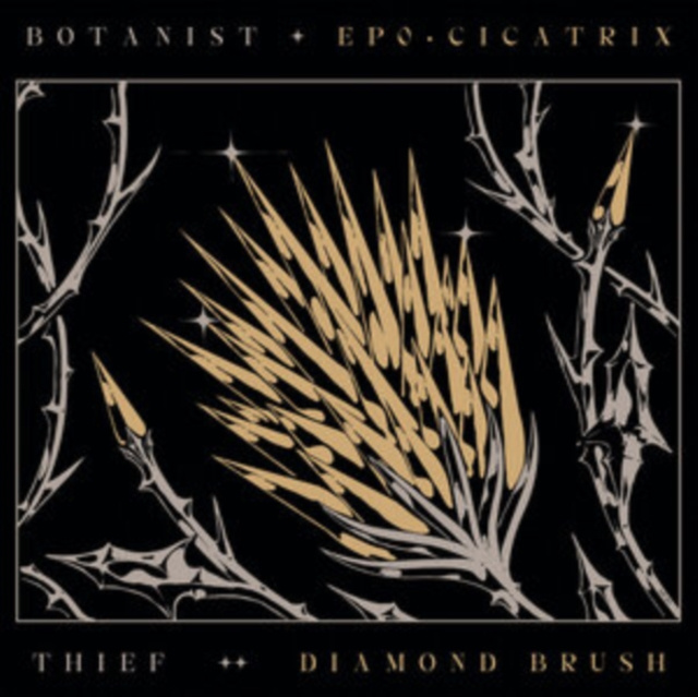 Audio Cicatrix/Diamond Brush Botanist/Thief