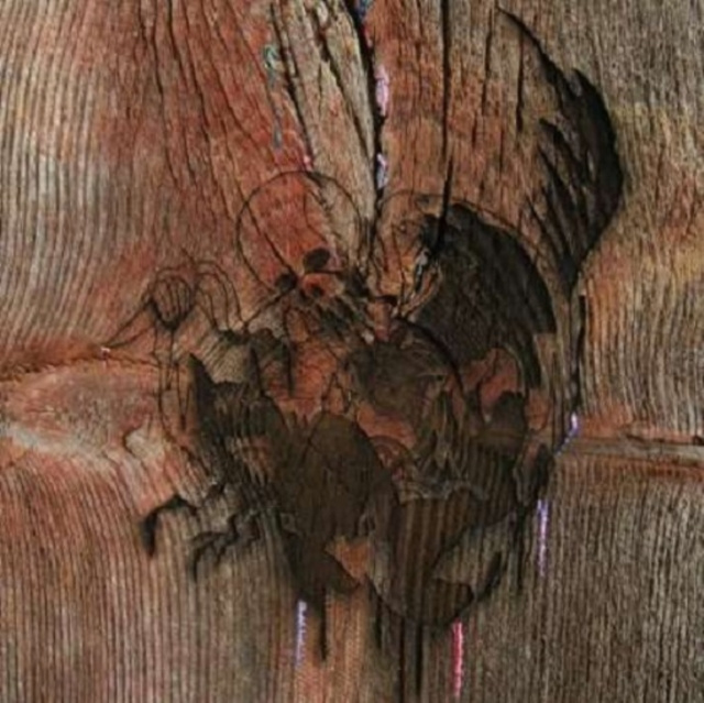 Audio Enter the Slasher House Avey Tare's Slasher Flicks