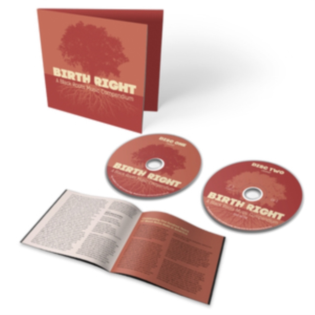 Audio Birthright Various Artists