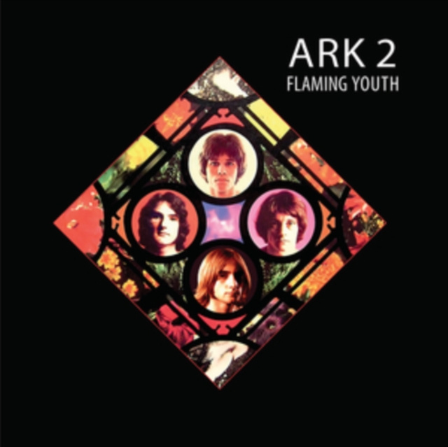 Audio Ark 2 Flaming Youth