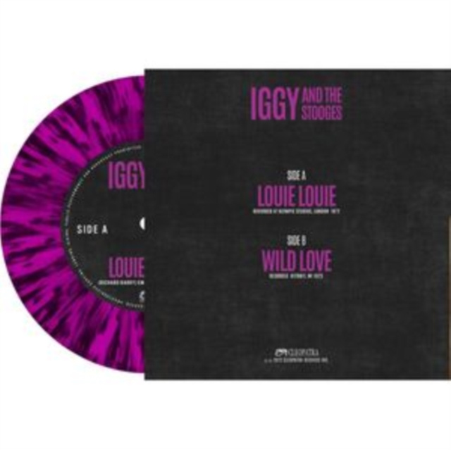 Audio Louie Louie Iggy and the Stooges