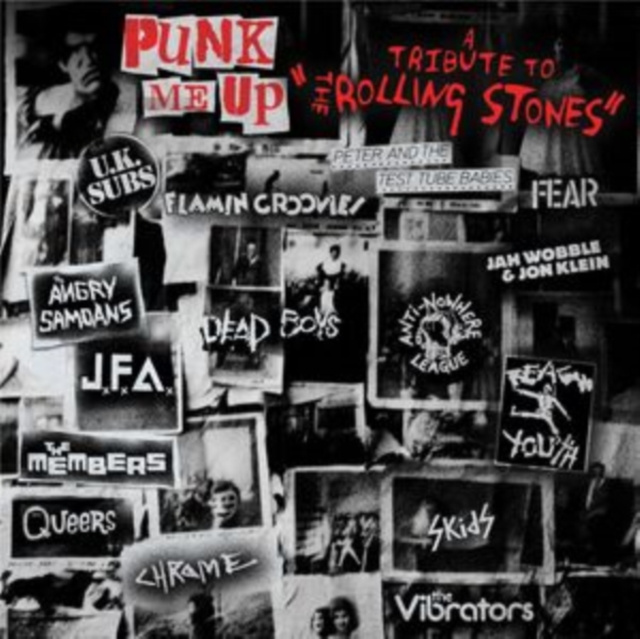 Audio Punk Me Up Various Artists