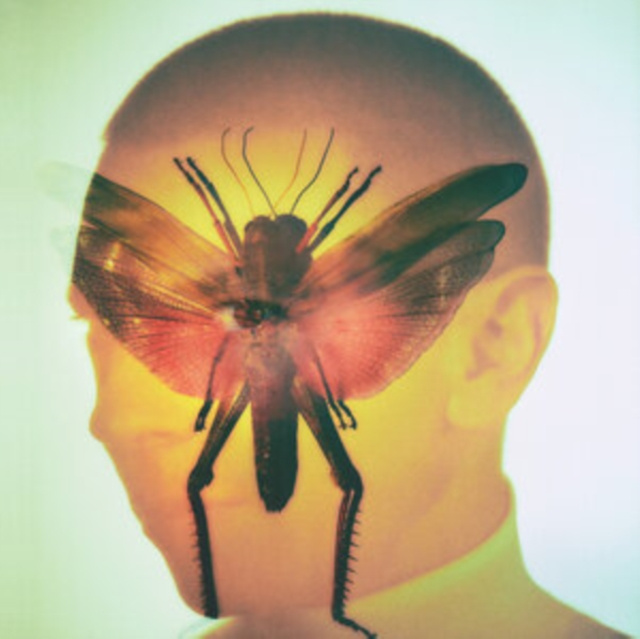 Audio Rhizome Maelstrom