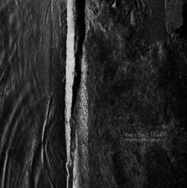Audio Memento Mori The Coma Lilies