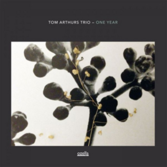 Audio One Year Tom Arthur's Trio
