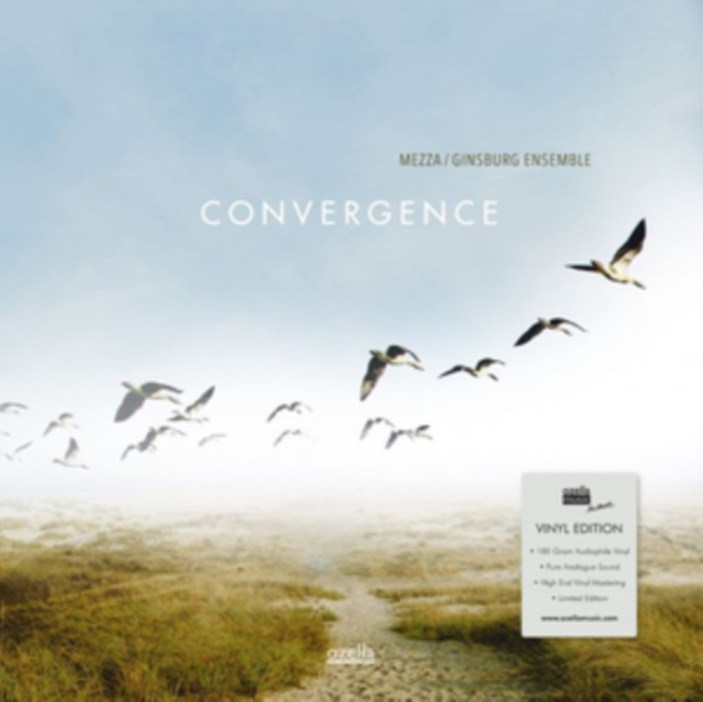 Audio Convergence Mezza/Ginsburg Ensemble