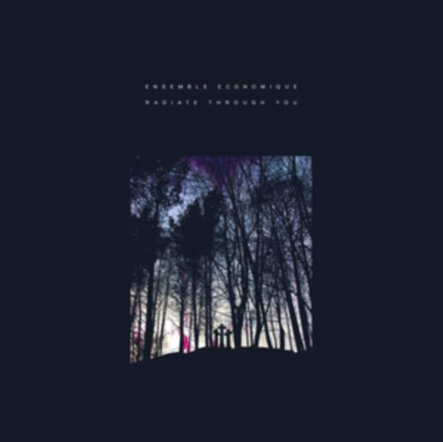 Audio Radiate Through You Ensemble Economique