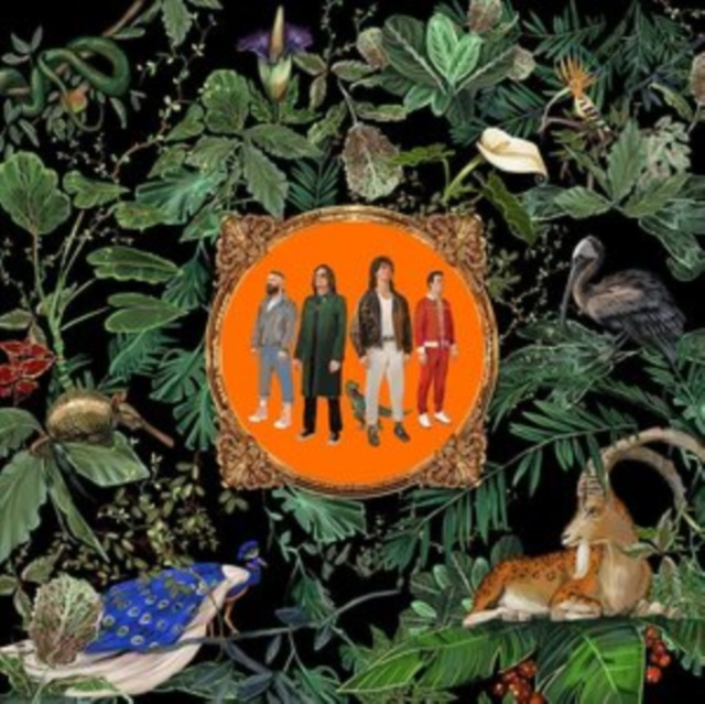 Audio Amazing Things Don Broco