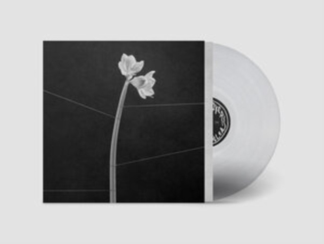 Audio Dreamweaver Trentemøller