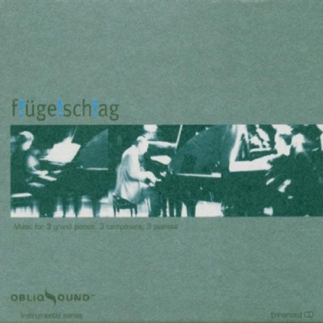 Audio Flugelschlag 