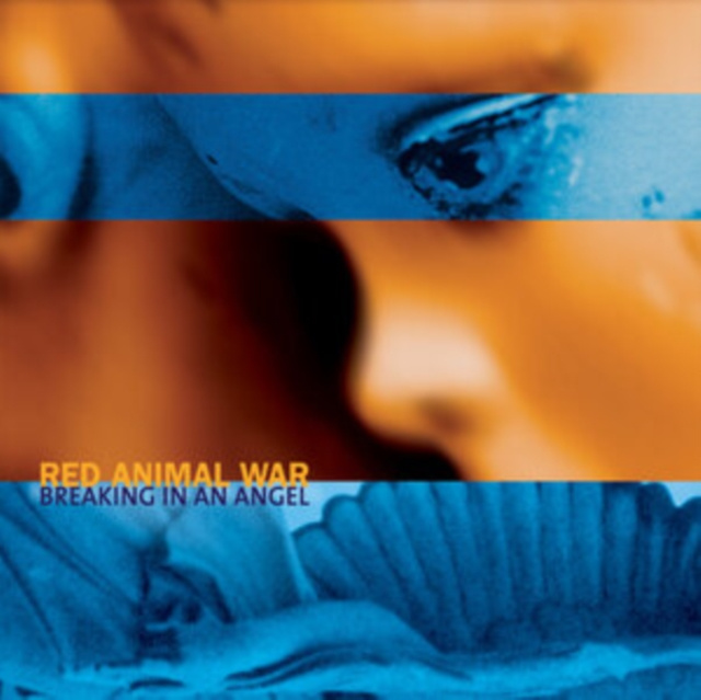 Audio Breaking in an Angel Red Animal War