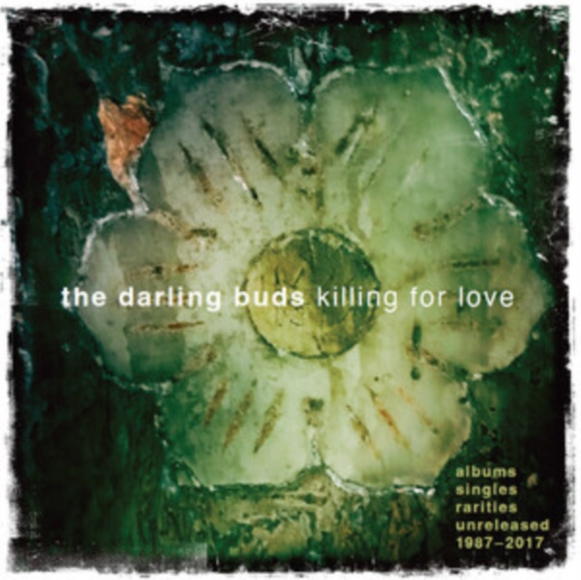 Audio Killing for Love The Darling Buds