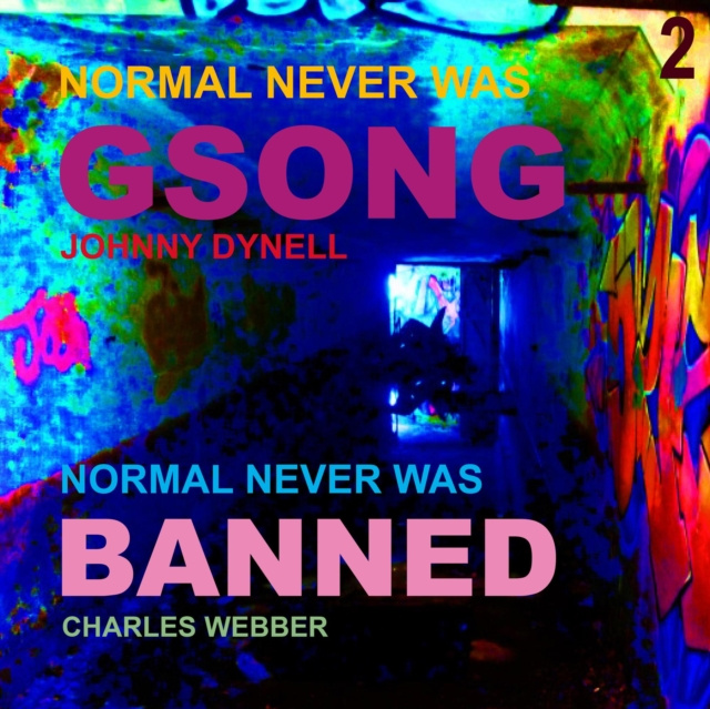Audio Normal Never Was II Crass