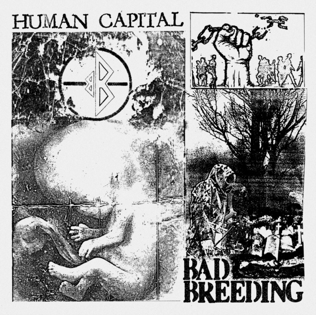 Audio Human Capital Bad Breeding