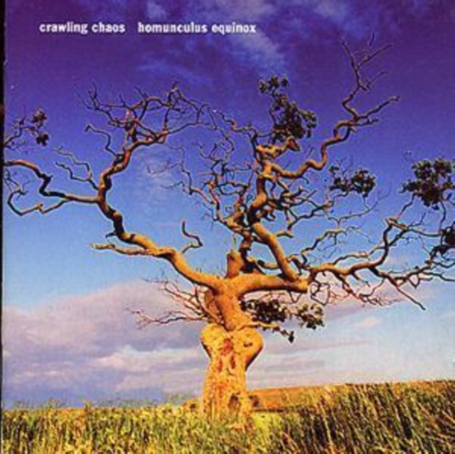 Audio Homunculus Equinox 