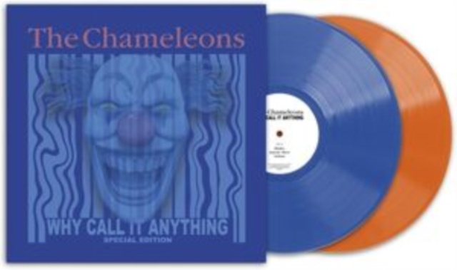 Audio What Does Anything Mean? Basically The Chameleons