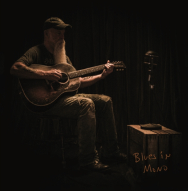 Audio Blues in Mono Seasick Steve