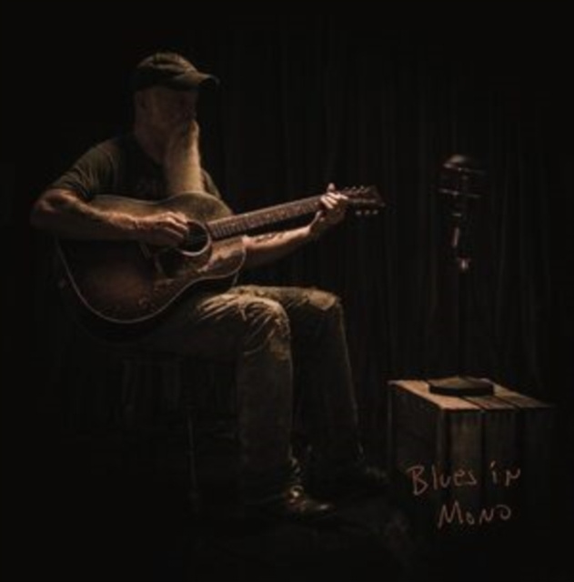 Audio Blues in Mono Seasick Steve