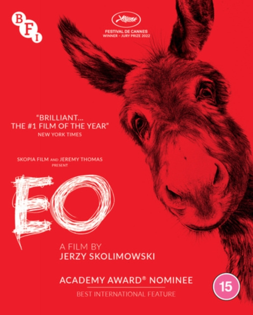 Video EO 