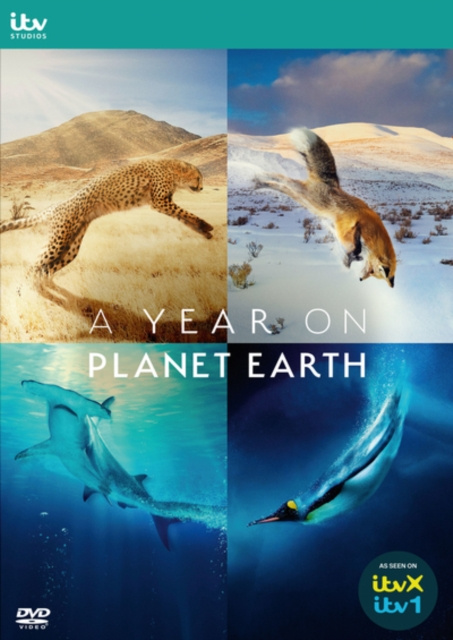 Video A Year On Planet Earth 