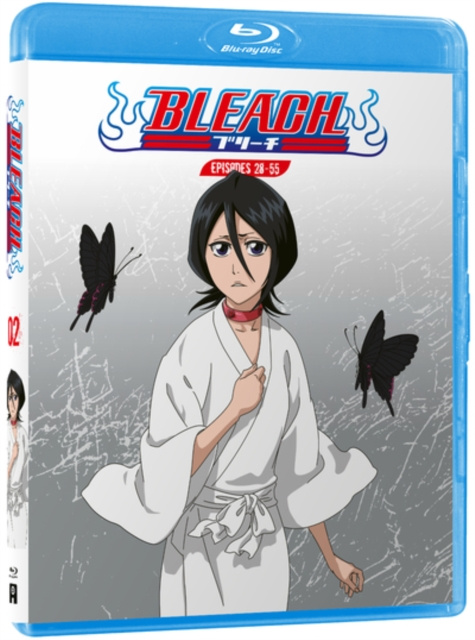 Video Bleach: Part 2 