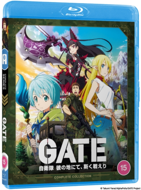 Video Gate 