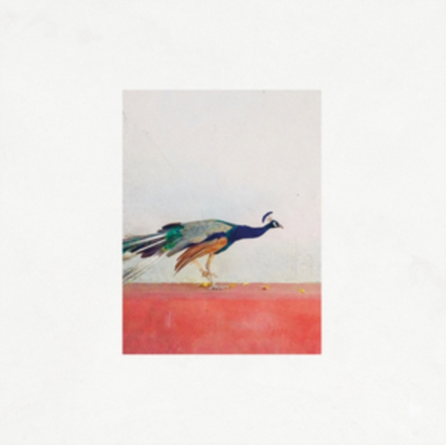Audio Travellers Jason Singh & The Banwasi Collective