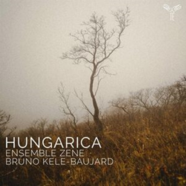 Audio Hungarica 
